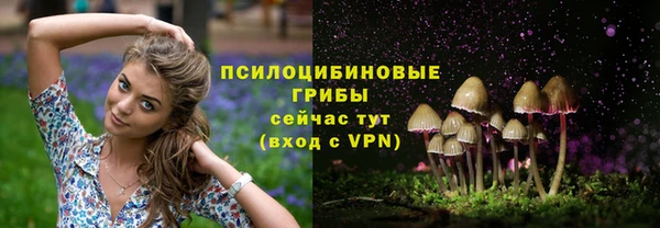 спиды Арсеньев