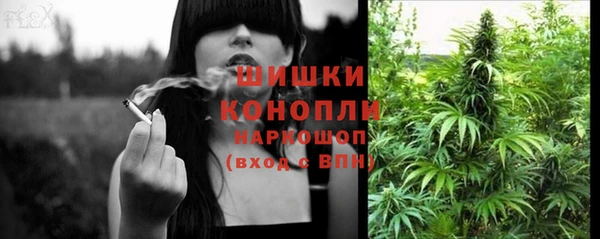 спиды Арсеньев
