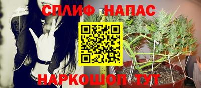 дживик Ликино-Дулёво