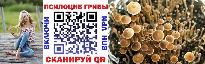 закладки Зима Галлюциногенные грибы мухоморы