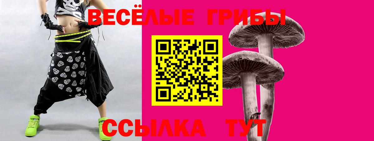 Зима  Псилоцибиновые грибы Psilocybe  Вход с VPN 